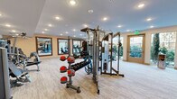 This fitness center offers a comprehensive and thoughtfully designed workout environment spread across a single floor. The space is finished with light-toned carpet tiles throughout, contributing to a clean and modern aesthetic. Recessed ceiling lighting provides consistent, even illumination across the entire area.

The strength training section is well-appointed, featuring an Atlas cable machine system, multiple selectorized weight machines, a full dumbbell rack ranging across various weights, a adjustable weight bench, and a punching bag. A tiered rack holds a colorful assortment of medicine and stability balls, adding both function and visual interest. Large, framed mirrors line one wall, enhancing the sense of space and allowing users to monitor their form.

The cardio zone is positioned along the perimeter, equipped with True-brand stationary bikes and treadmills. Floor-to-ceiling windows and glass doors along multiple walls flood the space with natural light and provide views of a lush outdoor area with palm trees and landscaping. A wall-mounted flat-screen television and a water fountain add convenience for users. The open layout ensures easy circulation between equipment zones, while the warm, neutral wall tones and wood-textured wall panels contribute to an inviting and motivating atmosphere.