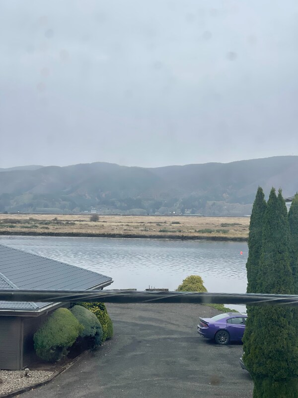 Foto del edificio - 103 Memorial Dr