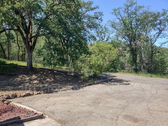 Building Photo - 295 San Jacinto Dr