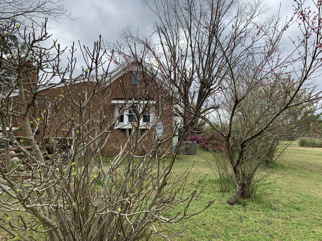 Building Photo - 1634 Porterville School Rd