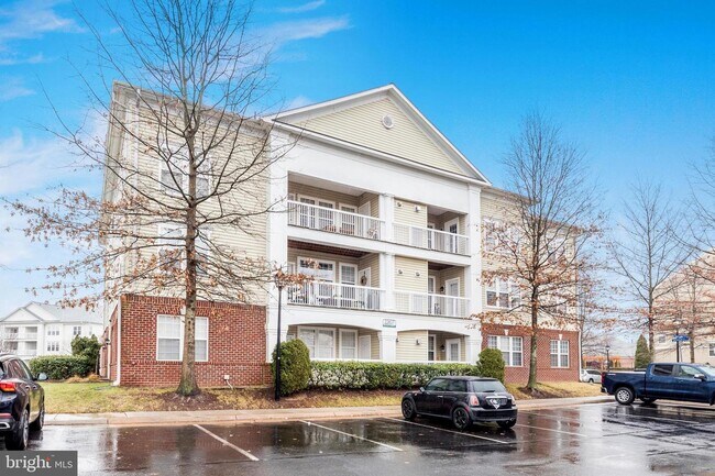 Building Photo - 22607 Blue Elder Terrace