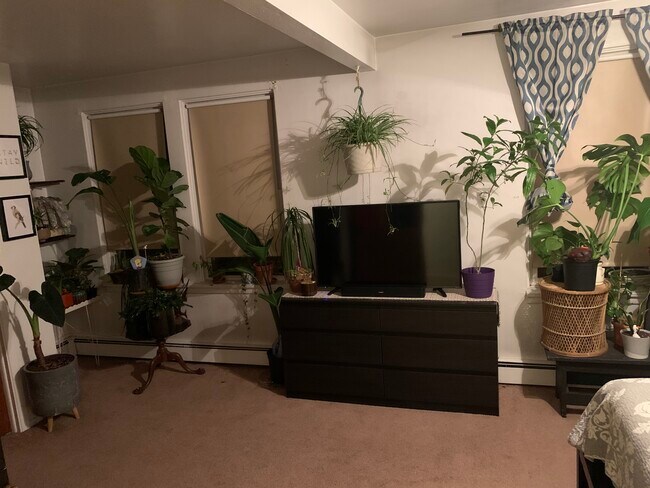 Bedroom - 4319 Tesla St