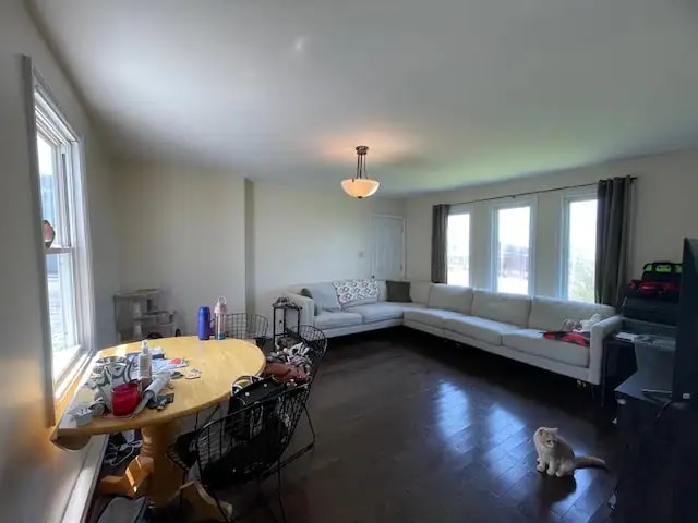 Primary Photo - 242 Crown St