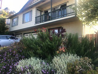 Front Yard - 3380 Monterey Blvd