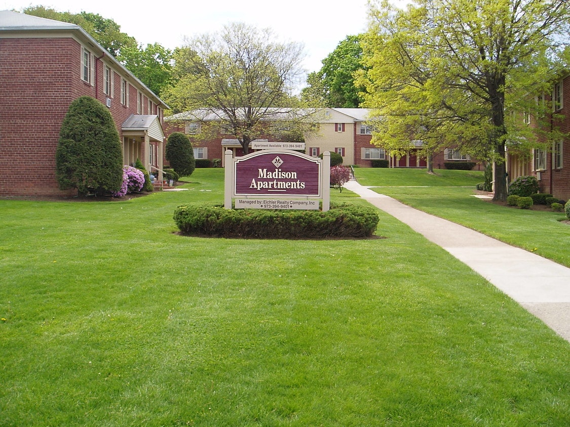 Primary Photo - Madison Apartments