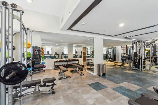 Gimnasio - The Bulkley