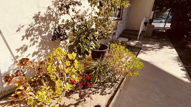 Foto del edificio - 4949 Coldwater Canyon Ave