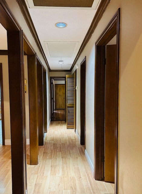 Building Photo - 2036 S 5th St