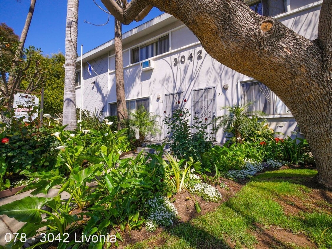 Primary Photo - 3042 Livonia Ave