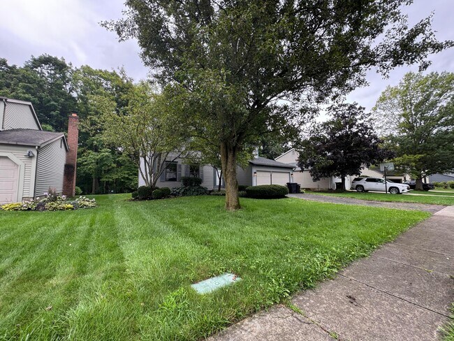 Foto del edificio - 564 Glenside Ln