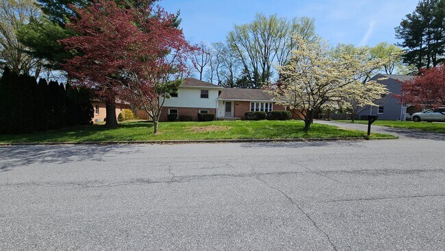 Building Photo - 4 Bedroom Single Family Home