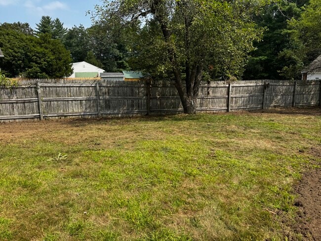 Very large lawn - 323 Matthews Rd
