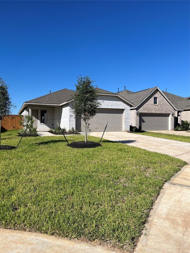 Building Photo - 3031 Ash Ray Dr