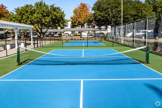 Pickleball Court - Oaks at Duck Creek