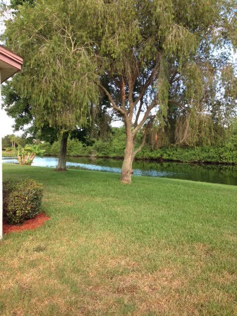 Backyard - 8031 Bracken Ln