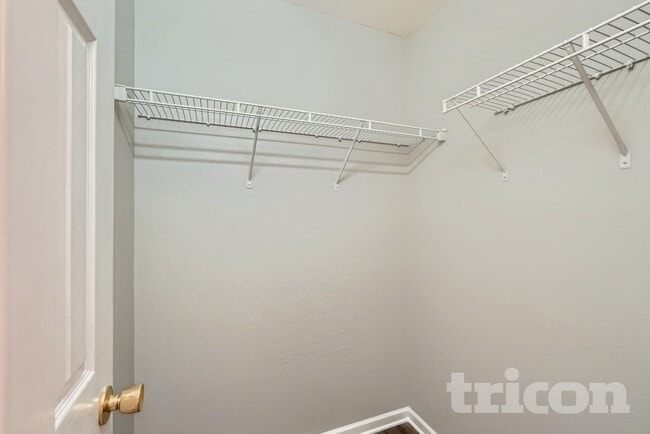 Building Photo - 11626 Lioness St