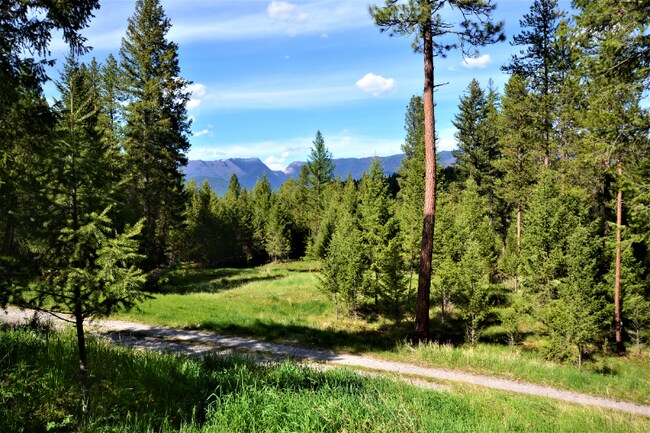 Foto del edificio - 217 Redwing Dr