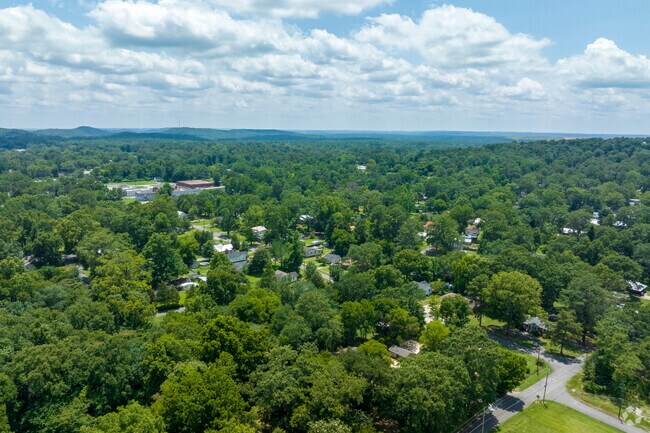 Hueytown is heavily forested, allowing for plenty of privacy between homes.