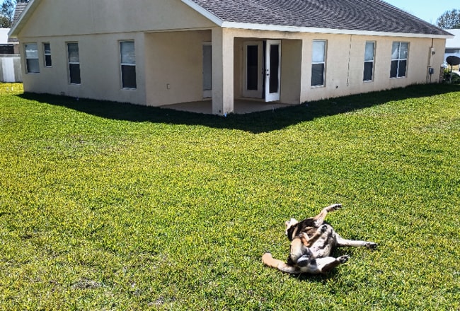 Building Photo - 3208 Alling Ct