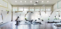 Located at 1400 Patricia in San Antonio, Texas, this single-story community clubhouse offers a well-rounded amenity space designed to serve residents with comfort and functionality. The fitness center is a standout feature, boasting soaring vaulted ceilings, floor-to-ceiling windows that invite abundant natural light and views of the surrounding greenery, and a full array of cardio and strength-training equipment including treadmills, ellipticals, and free weights. A red exercise mat and ceiling fan complete the workout environment, while frosted glass doors branded with bold lettering provide a stylish entrance to the gym. Adjacent to the fitness area, the lounge offers a welcoming and well-appointed gathering space with wood-look flooring, recessed lighting, and coordinated soft seating in muted blue tones accented by patterned throw pillows. A staircase adds architectural interest to the main lounge area, which also incorporates individual workstation desks. The business center, set within a teal-accented alcove, provides computer workstations for resident use. A dedicated coffee and tea bar features dark cabinetry, granite countertops, a mosaic tile backsplash, and large windows overlooking the outdoors, offering a bright and inviting spot to relax.