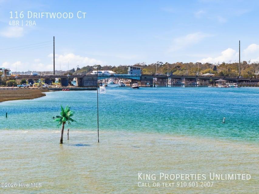 Foto del edificio - 116 Driftwood Ct