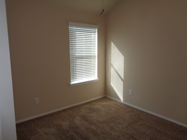 Foto del edificio - 20211 Ray Falls Dr