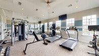 This fitness center is a thoughtfully designed, single-level exercise space offering a comprehensive range of workout equipment within a compact yet efficiently organized footprint. The room features a neutral carpet floor and vaulted ceilings with recessed lighting and a ceiling fan, contributing to a bright, open atmosphere. A distinctive decorative detail is the horizontal blue and beige striped wall treatment, which adds visual interest throughout the space.

Multiple large windows line the walls, flooding the interior with natural light and offering exterior views of the surrounding neighborhood. A wall-mounted flat-screen television is positioned for easy viewing during cardio workouts. One full wall is lined with large mirrors, visually expanding the space and providing functional feedback during exercise.

Cardio equipment includes multiple treadmills and an elliptical machine. A multi-station cable machine offers versatile strength training options, while a dedicated free weight area includes a full rack of dumbbells in varying sizes alongside an adjustable workout bench. A French door entry with glass panels connects the fitness center to an adjacent space. Overall, the room is clean, well-lit, and purposefully arranged to maximize both functionality and comfort.