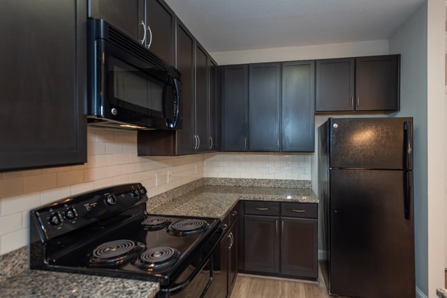 Interior Photo - Red Knot at Edinburgh