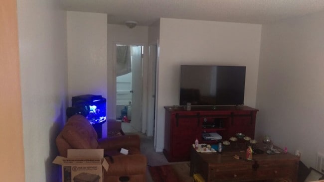 Living Room - 601 S Tremont St