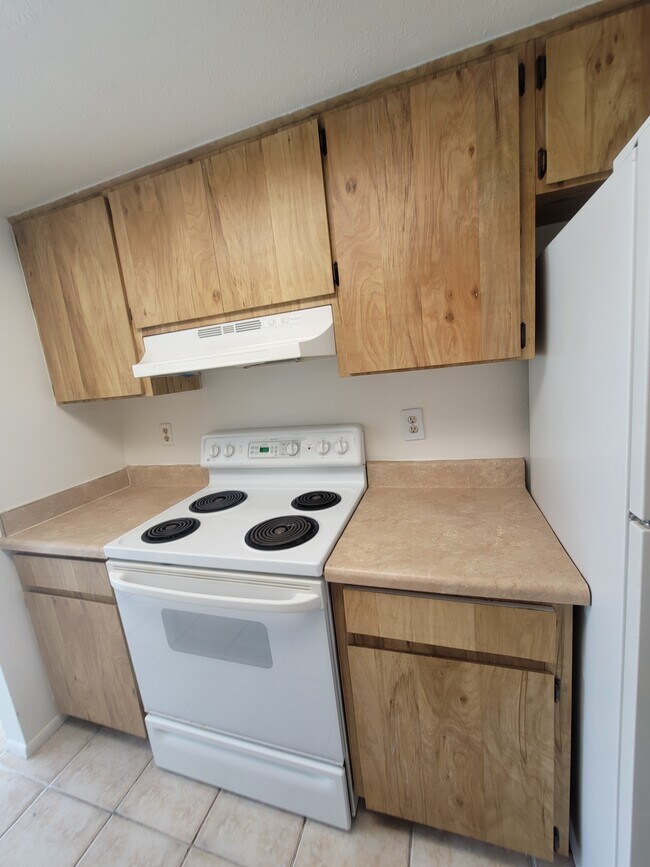 Foto del edificio - 2931 Kelly Ridge Ln