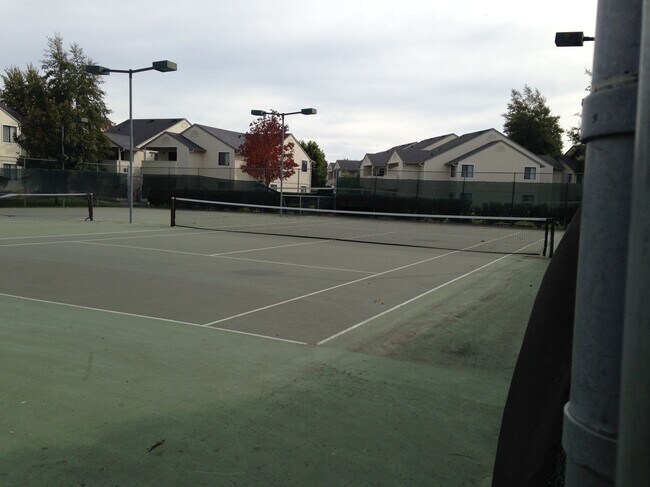 New Tennis Courts - 8201 Camino Colegio