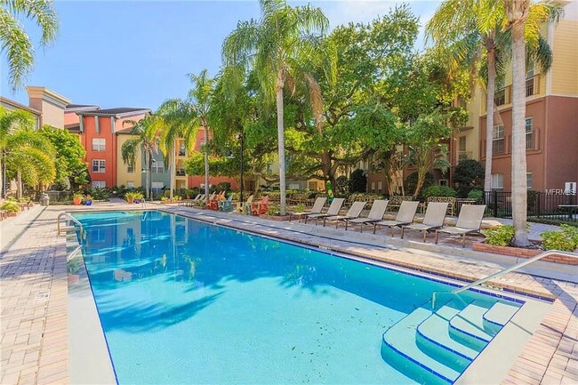 Pool - 402 S Armenia Ave