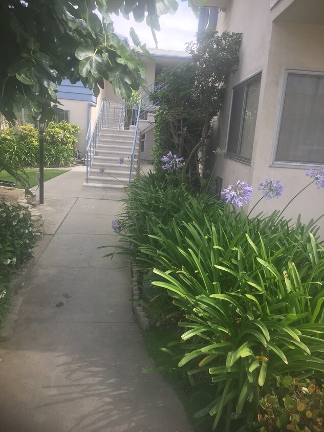30 Apartments for Rent in La Habra, CA Westside Rentals