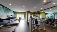 This fitness center is organized across a single floor and divided into two visually distinct zones, each designed to support a comprehensive workout experience. The cardio and open stretching area features bold lime-green accent walls, motivational typography decals across the windows, and an array of Life Fitness treadmills and elliptical machines arranged for easy access. Natural light filters in through large windows, brightening the space and creating an energizing atmosphere. Stability balls and free-standing ball racks add versatility for functional training. The adjoining strength training zone transitions into a deep navy blue color palette, anchored by a striking abstract mural that adds a dynamic visual focal point. This area houses a multi-functional cable machine, a full dumbbell rack with a wide weight range, and additional resistance equipment, all reflected in floor-to-ceiling mirrors that enhance the sense of depth. Rubber flooring throughout provides durability and comfort underfoot. A wall-mounted flat-screen television and a stainless steel drinking fountain are conveniently positioned near the entrance, making the space practical for extended workout sessions. Recessed lighting illuminates both zones evenly, ensuring a well-lit environment at all times. The overall design is modern, functional, and thoughtfully curated to support a full range of fitness activities.