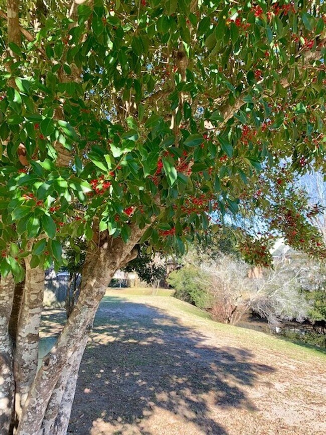 Foto del edificio - Convenient 3-Bed, 2.5-Bath James Island Co...