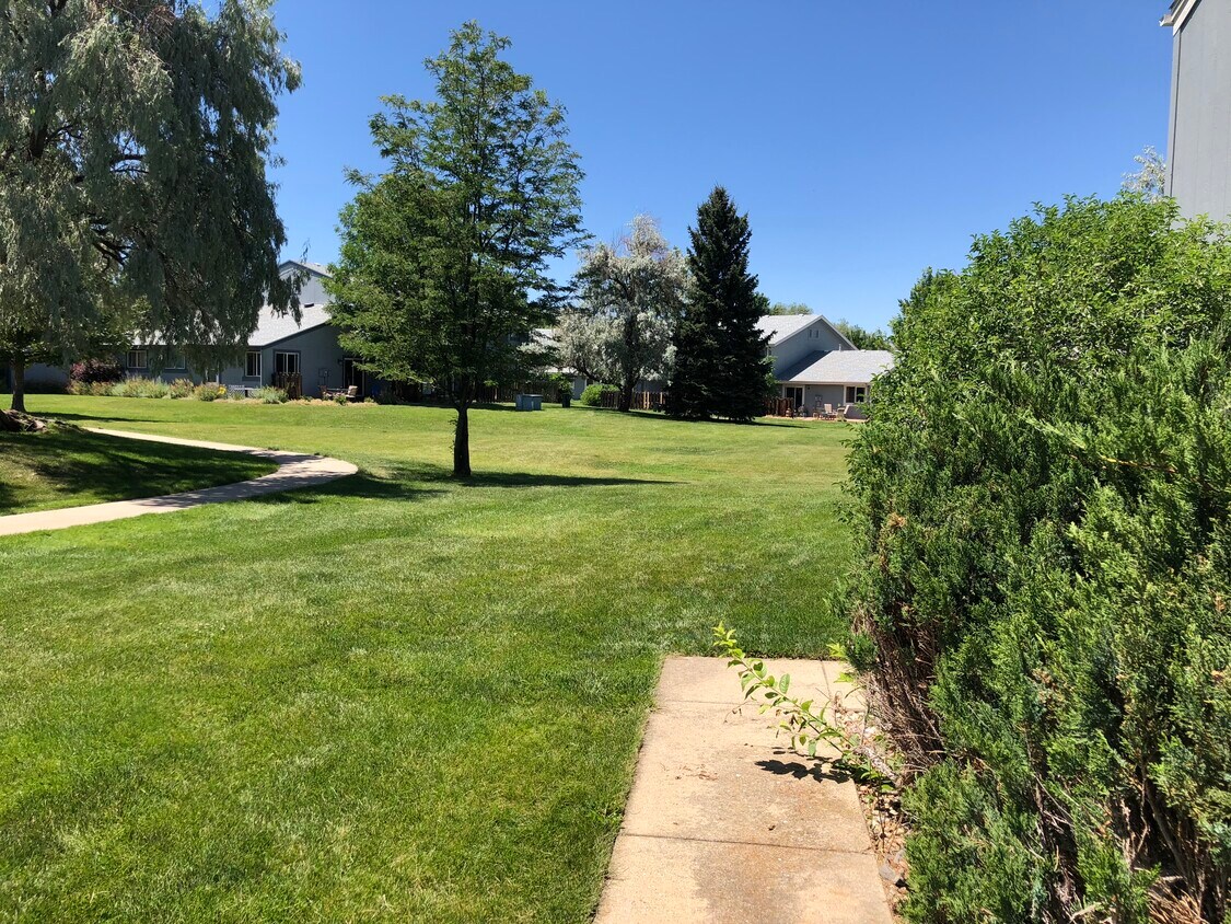 4279 Monroe Dr Unit D, Boulder, CO 80303 Condo for Rent in Boulder