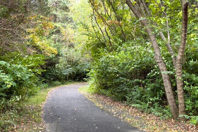 Flatlick Stream Valley Park is one of the trails cutting through forested areas of Chantilly.