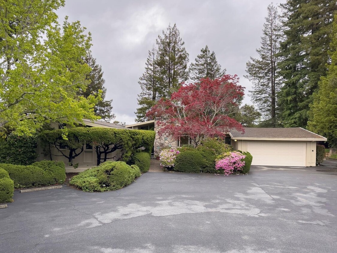 45 Patton Pl, Hillsborough, CA 94010 House for Rent in Hillsborough