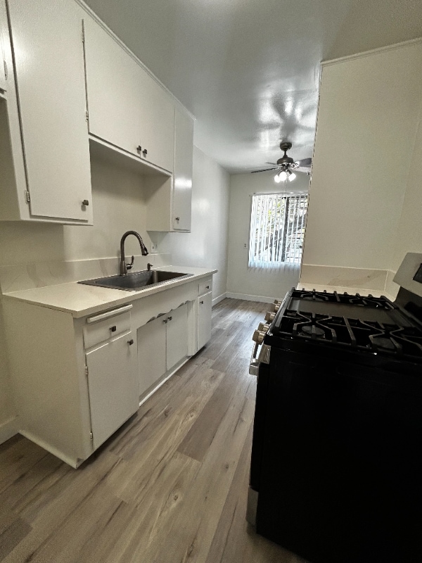 Building Photo - 516 Mar Vista Ave
