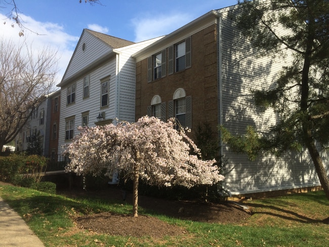 Foto del edificio - 7753 New Providence Dr