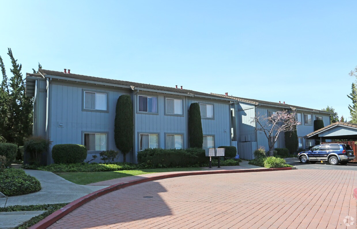 Primary Photo - Mohr Terrace Apartments