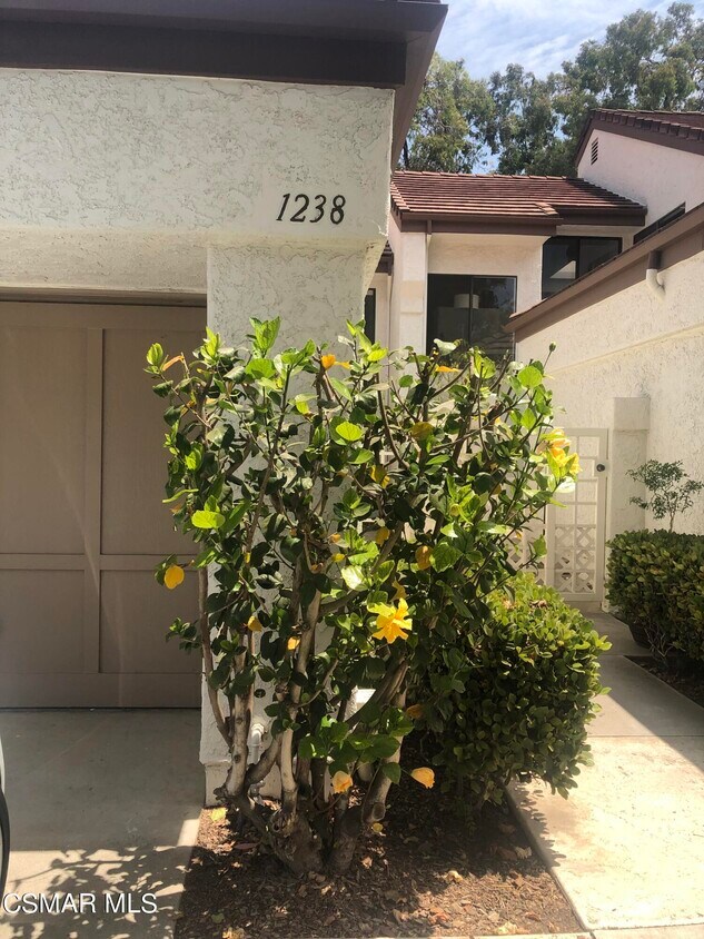 1238 Calle Bonita, Camarillo, CA 93012 Condo for Rent in Camarillo