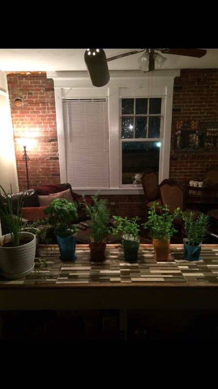 Foto principal - 524 23rd St