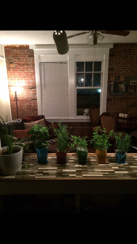 Building Photo - 524 23rd St Building Photo - 524 23rd St