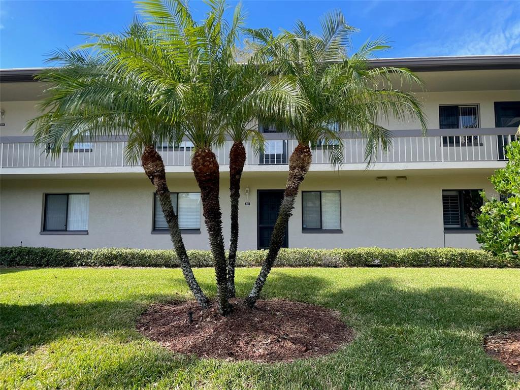 211 Nina Way, Oldsmar, FL 34677 Condo for Rent in Oldsmar, FL