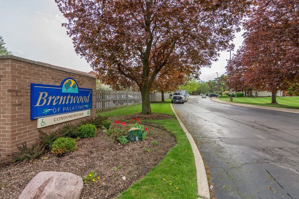 1461 N Winslowe Dr Unit 202 Palatine Il 60074 Condo For Rent In Palatine Il Apartments Com