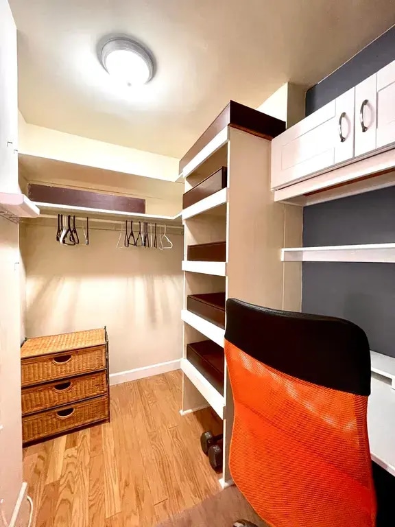 Walk-in Closet - 1121 Arlington Blvd