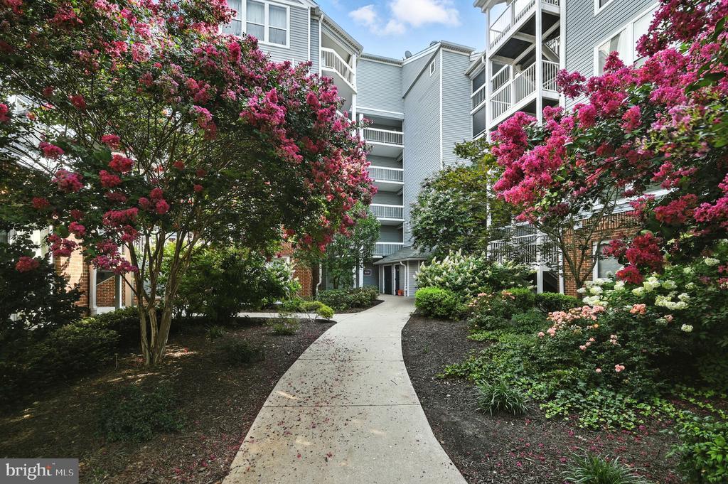 Foto principal - 3175 Summit Square Dr