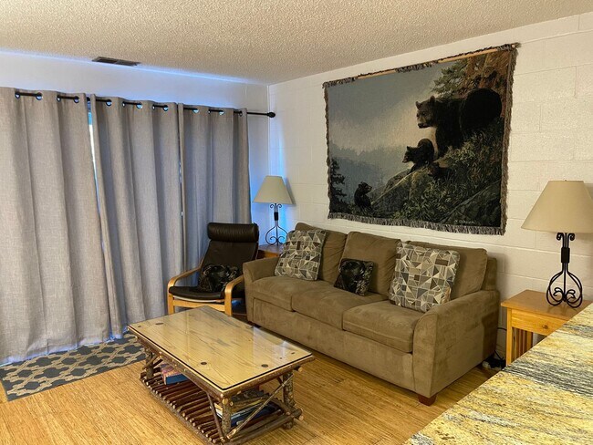 Building Photo - Great location near Heavenly - Spacious 2 ...