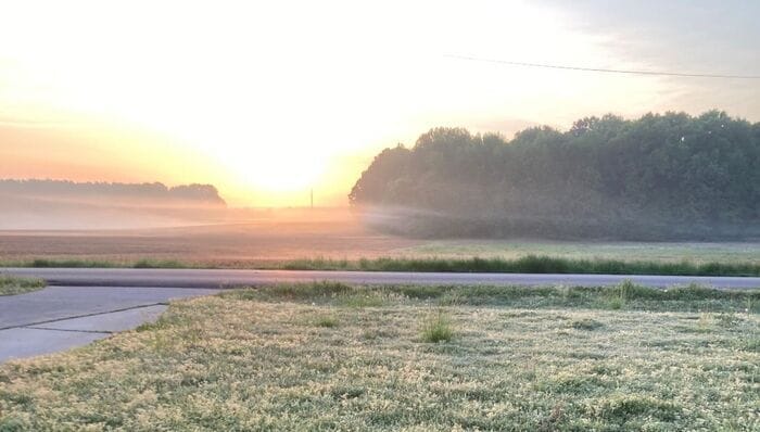 Building Photo - Coming soon with LARGE FENCED YARD, and lawn care INCLUDED